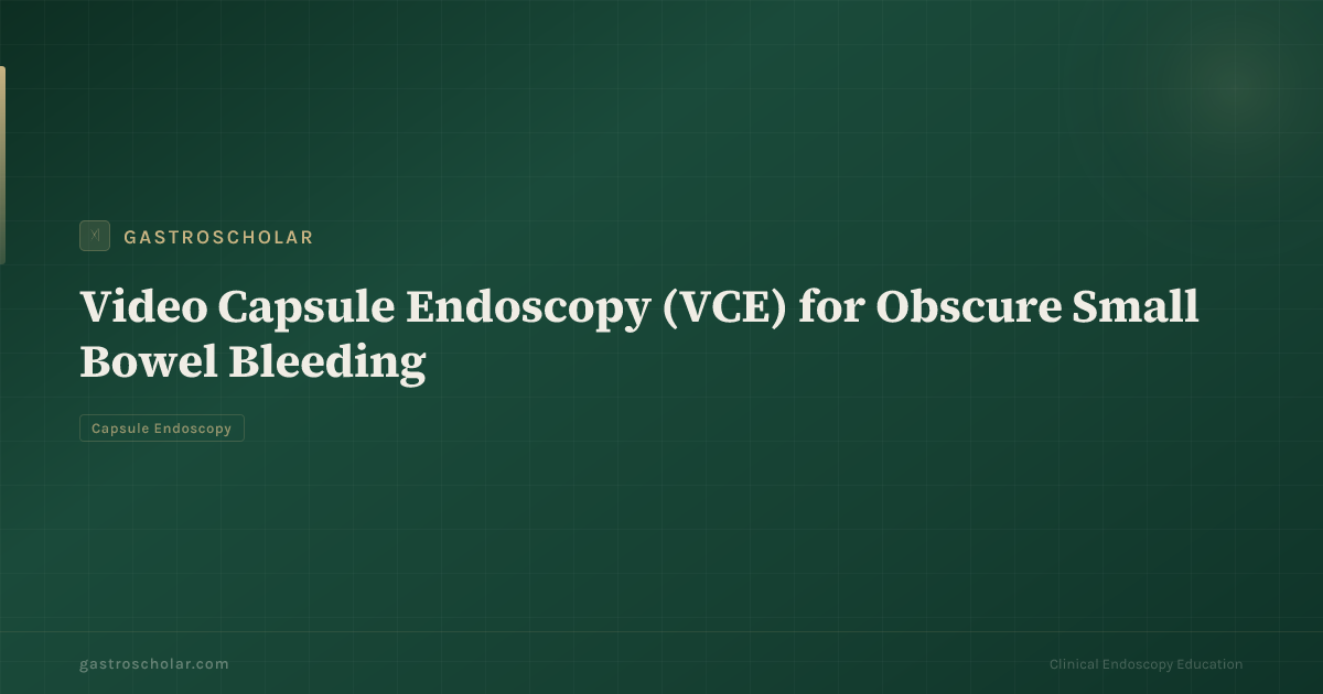 Original GastroScholar summary card for small-bowel capsule endoscopy. Not a capsule photograph.