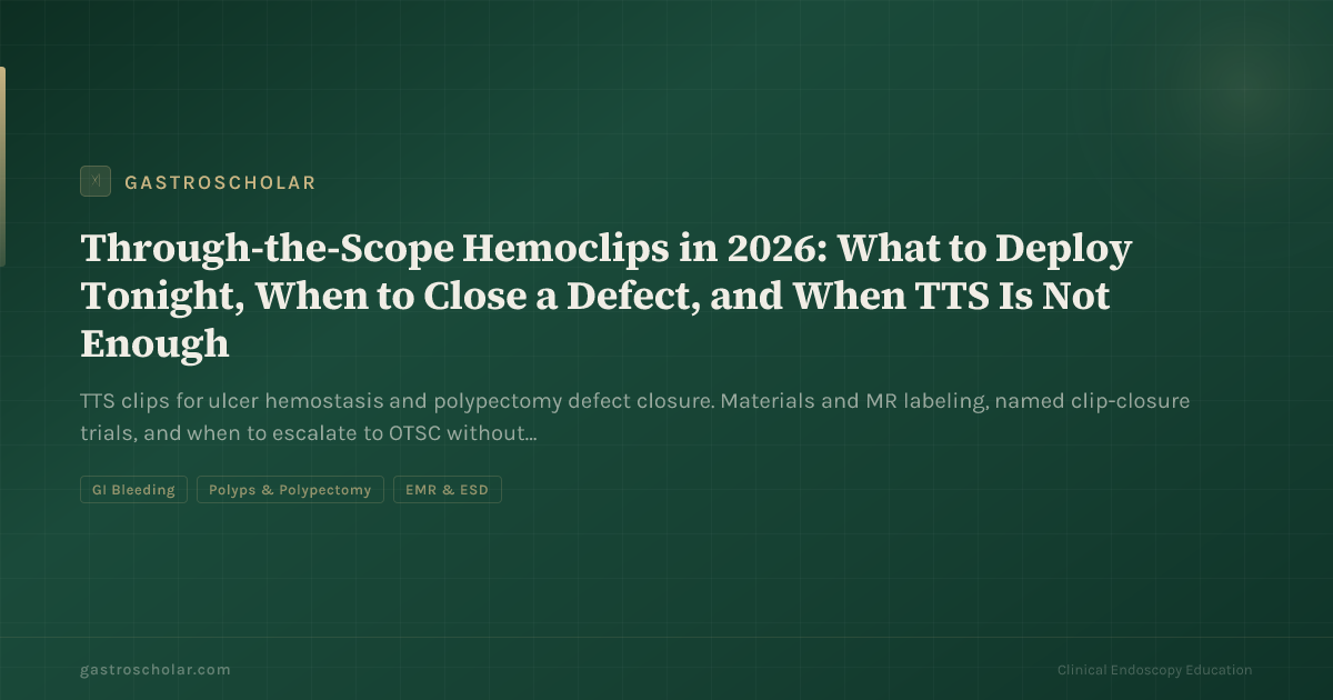 Original GastroScholar summary card for through-the-scope hemoclips. Not an endoscopic photograph.
