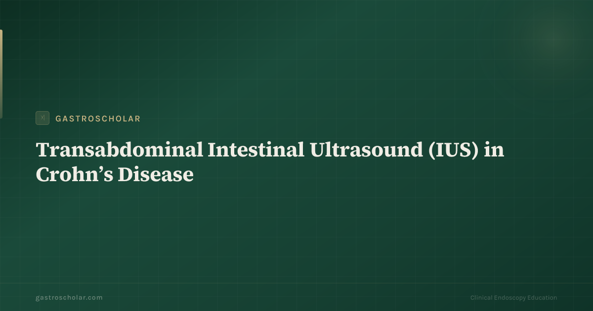 Original GastroScholar summary card for intestinal ultrasound in IBD. Not a clinical ultrasound still.