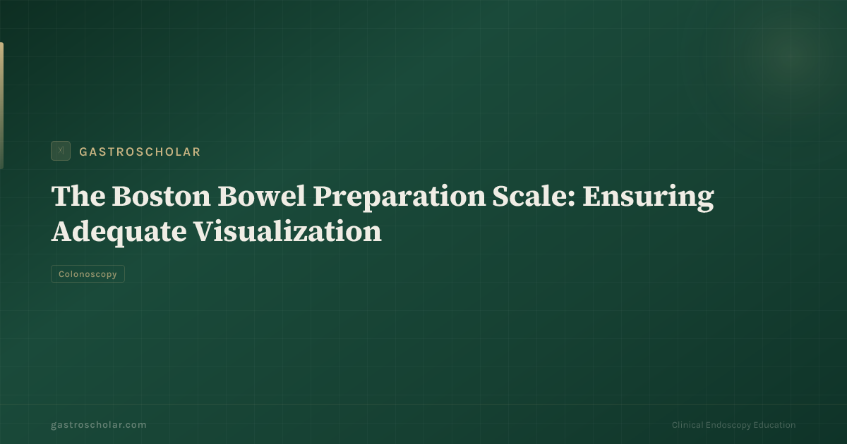 Original GastroScholar summary card for the Boston Bowel Preparation Scale. Not an endoscopic photograph.